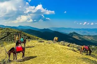 东契奇谈德拉季奇退役：了不起的旅程 从他身上学到了领导力